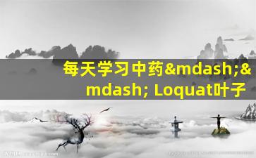 每天学习中药—— Loquat叶子